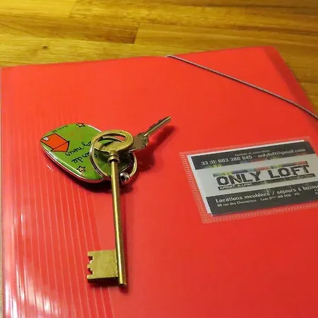 Only Loft Brotteaux-part Dieu 아파트